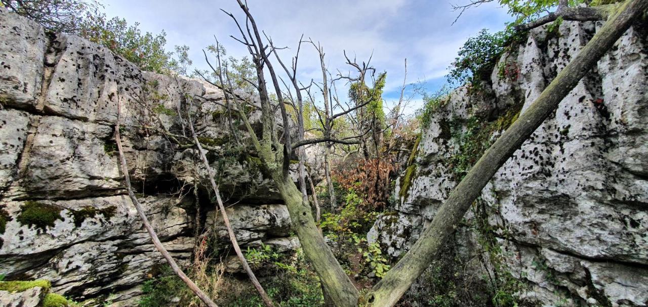 La Grange - Chez Gisi - Fuer Naturliebhaber, Abenteurer Und Geniesser Rocles  المظهر الخارجي الصورة